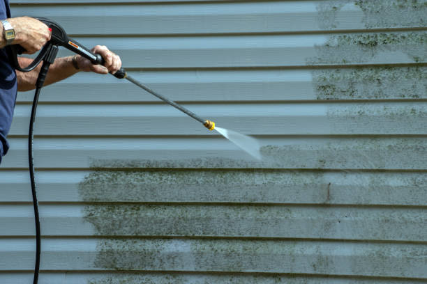 Best House Exterior Washing  in Wasilla, AK